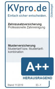 Professionelle Zahnreinigung